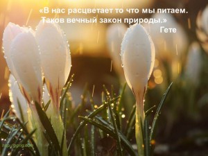 imeg_20