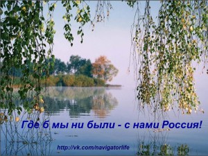 imeg_65