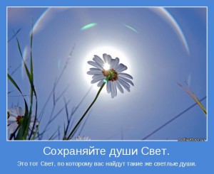Свет Души_1